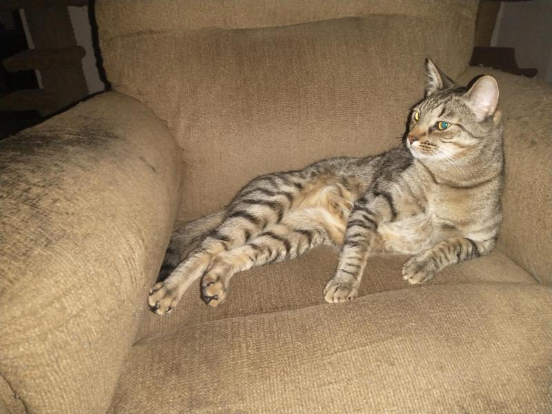 thebugster08 uploaded   1 year/s ago