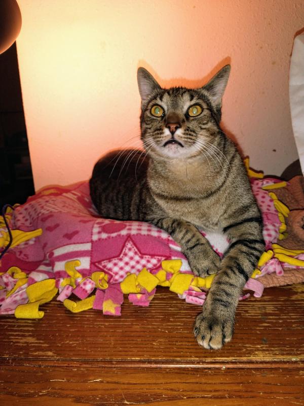 thebugster08 uploaded   1 year/s ago