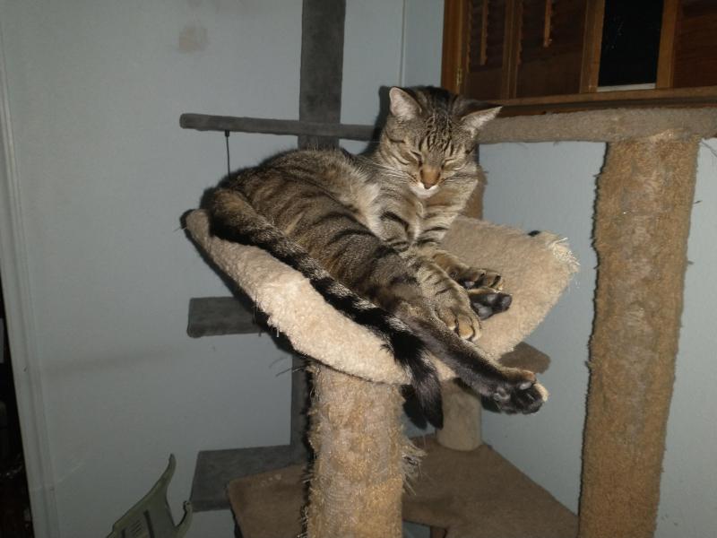 thebugster08 uploaded   1 year/s ago