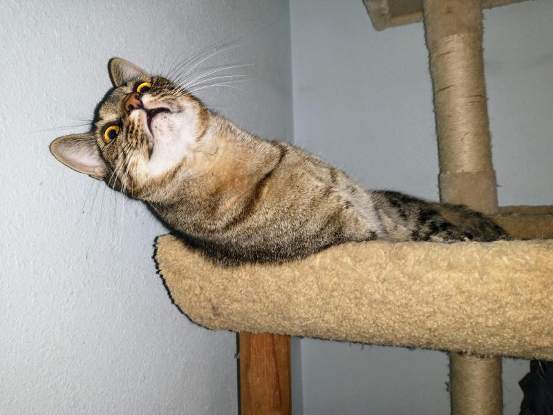 thebugster08 uploaded   344  day/s  ago