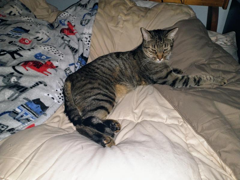 thebugster08 uploaded   337  day/s  ago