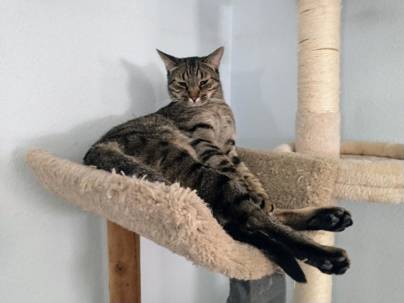 thebugster08 uploaded   316  day/s  ago