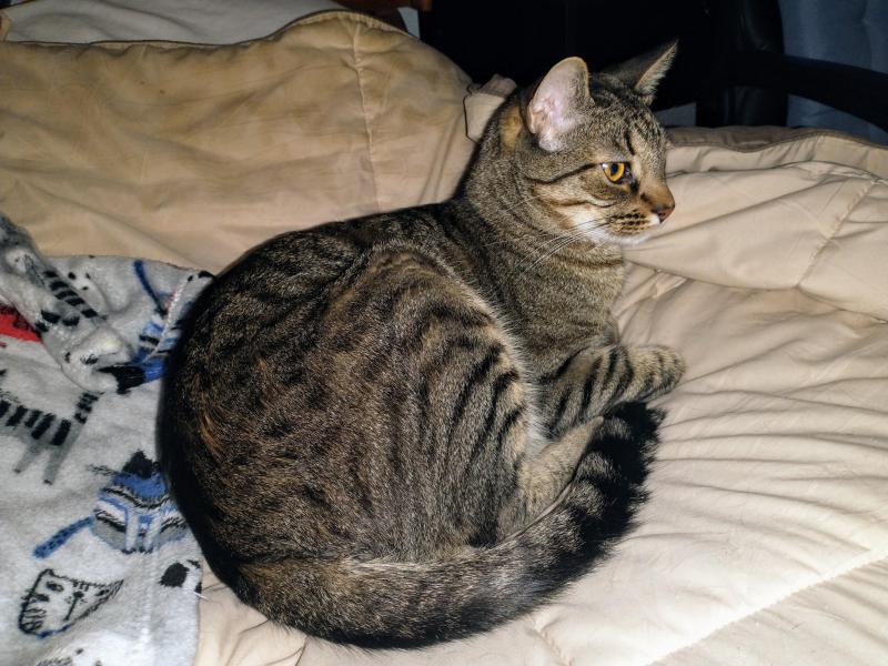 thebugster08 uploaded   330  day/s  ago