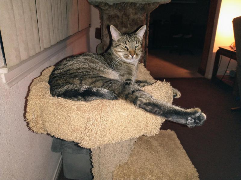 thebugster08 uploaded   302  day/s  ago