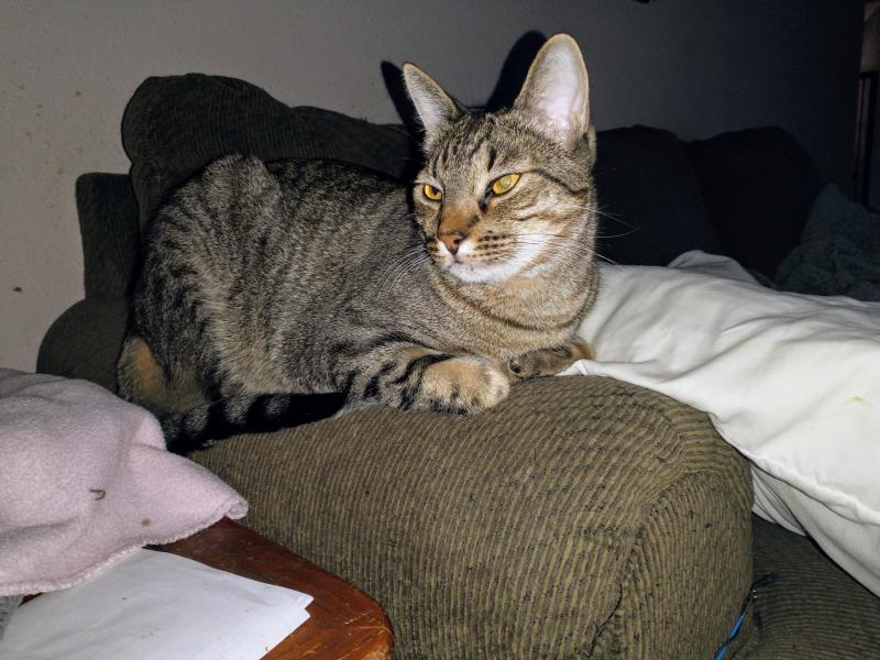 thebugster08 uploaded   323  day/s  ago