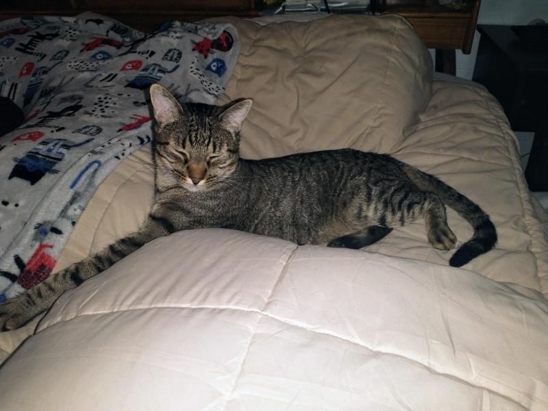 thebugster08 uploaded   273  day/s  ago