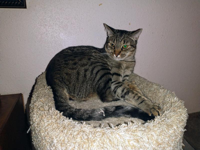 thebugster08 uploaded   294  day/s  ago