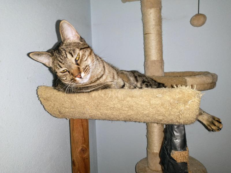 thebugster08 uploaded   259  day/s  ago