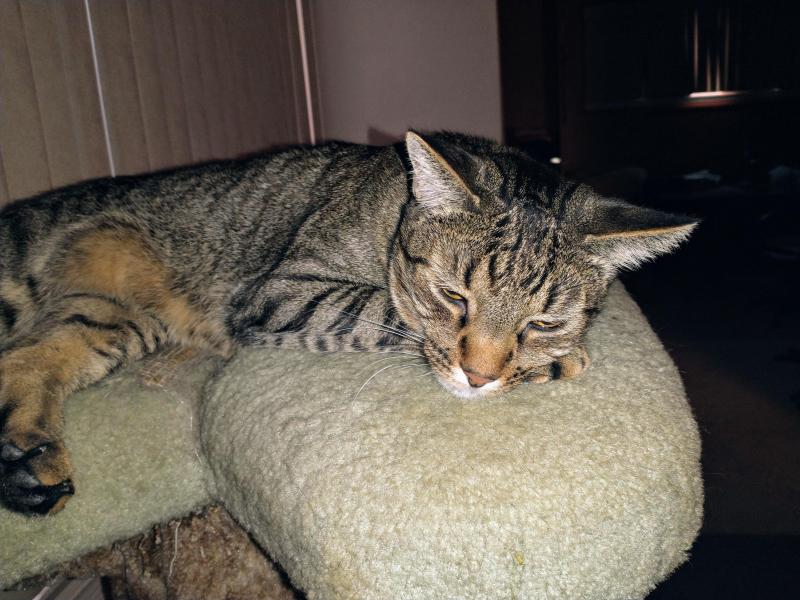 thebugster08 uploaded   243  day/s  ago