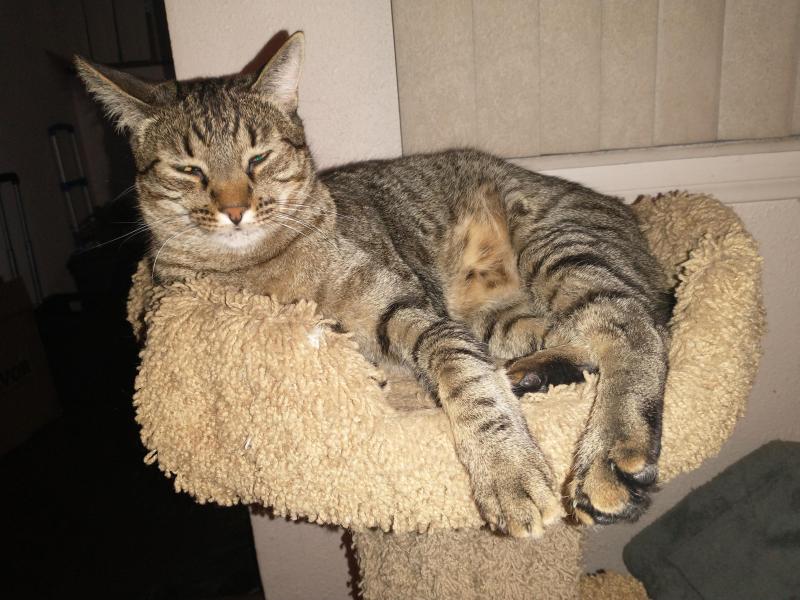 thebugster08 uploaded   221  day/s  ago