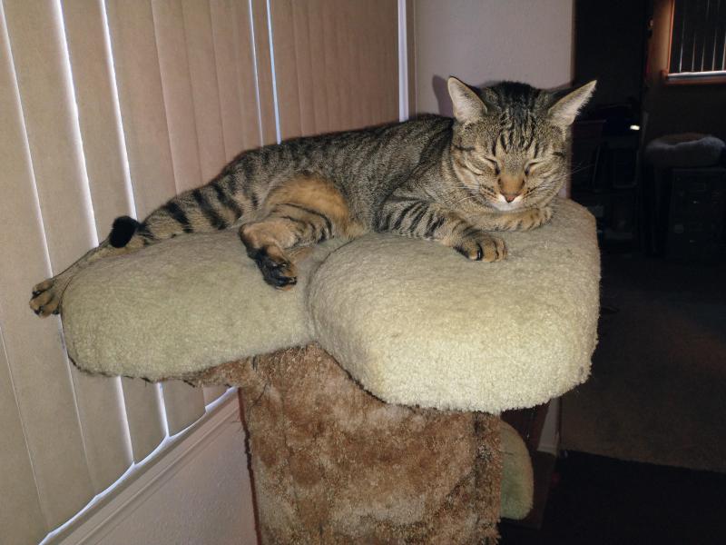 thebugster08 uploaded   214  day/s  ago