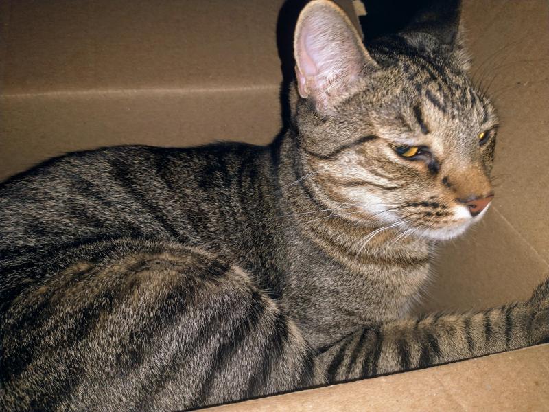 thebugster08 uploaded   228  day/s  ago