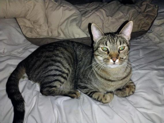 thebugster08 uploaded   227  day/s  ago