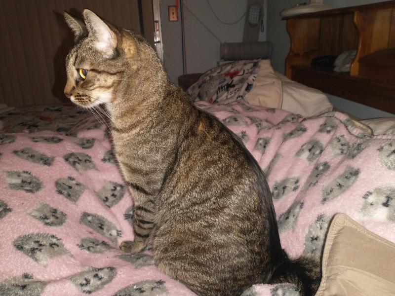 thebugster08 uploaded   101  day/s  ago