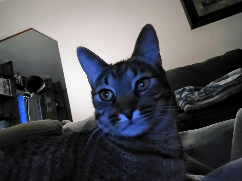 thebugster08 uploaded   3  day/s  ago