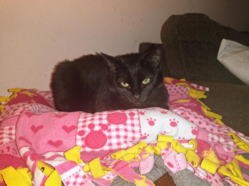 thebugster08 uploaded   1 year/s ago