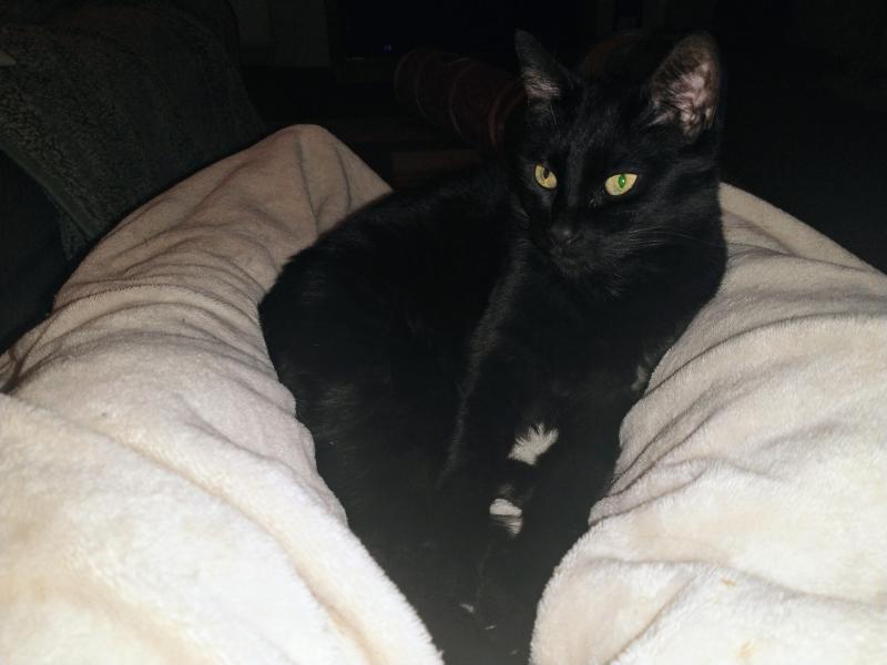 thebugster08 uploaded   1 year/s ago