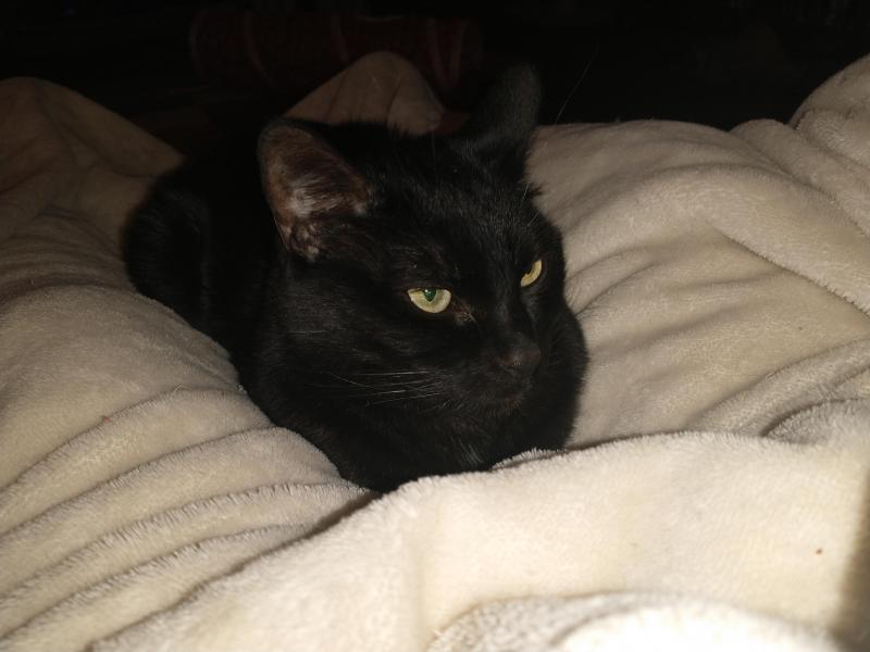 thebugster08 uploaded   1 year/s ago