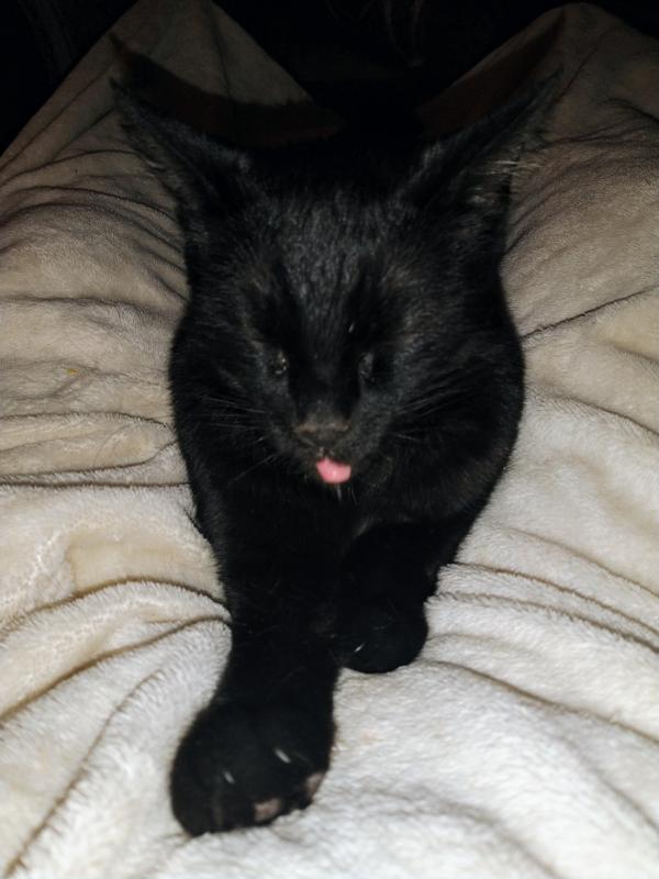 thebugster08 uploaded   1 year/s ago