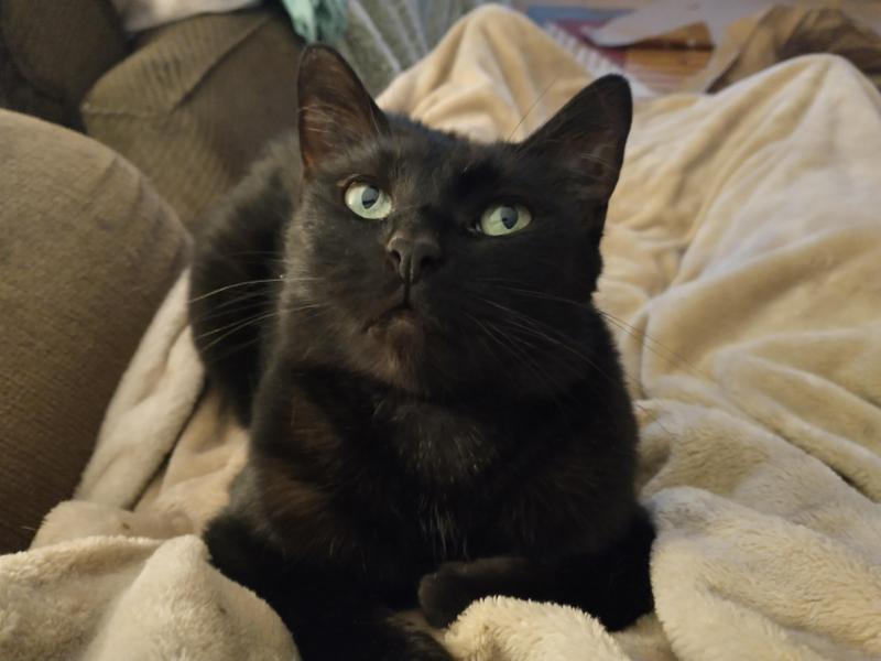 thebugster08 uploaded   1 year/s ago