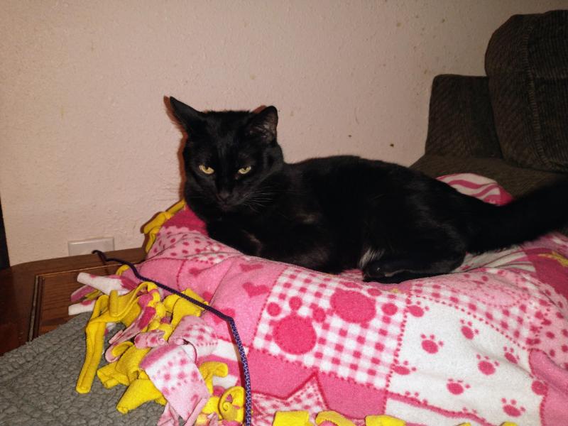 thebugster08 uploaded   1 year/s ago