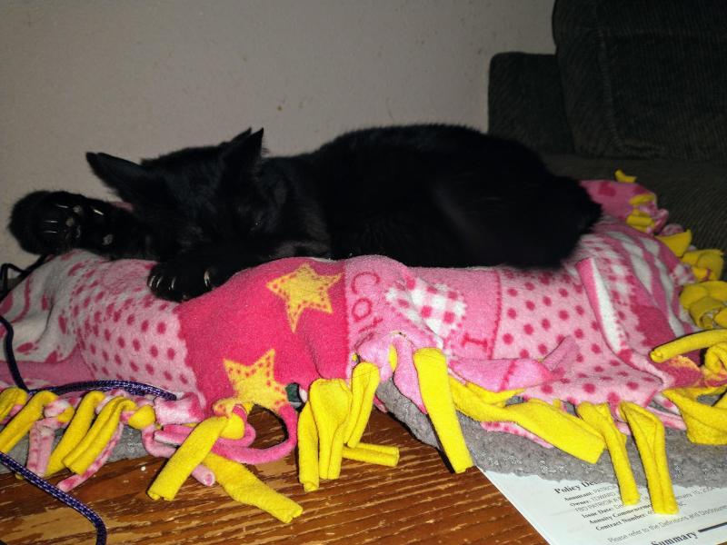 thebugster08 uploaded   1 year/s ago