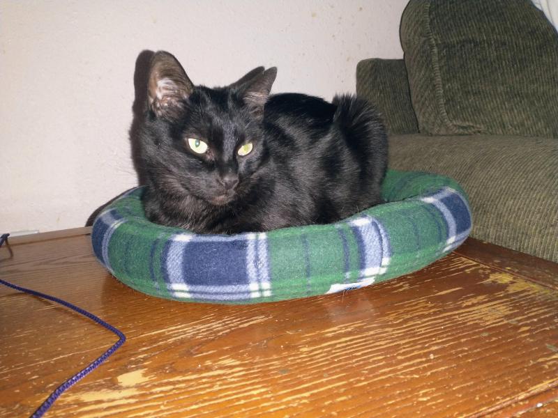 thebugster08 uploaded   1 year/s ago