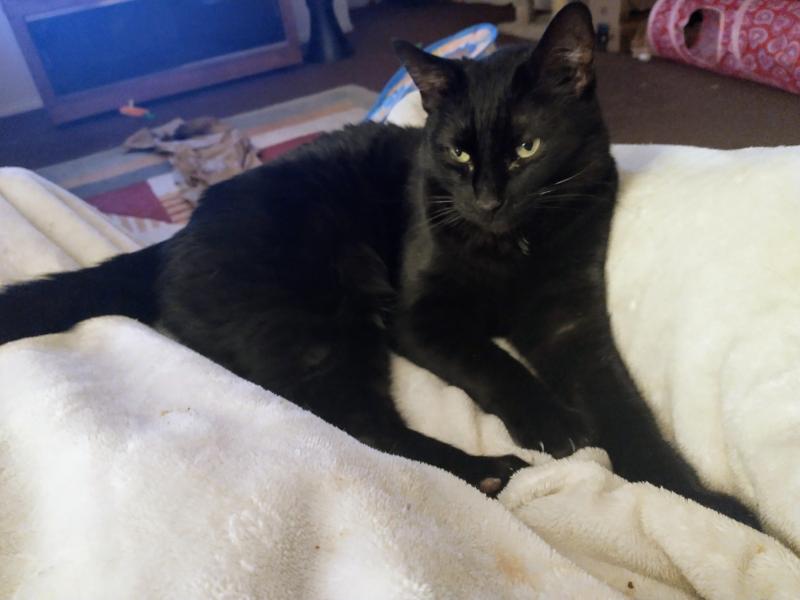 thebugster08 uploaded   1 year/s ago