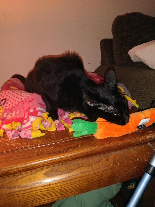 thebugster08 uploaded   1 year/s ago