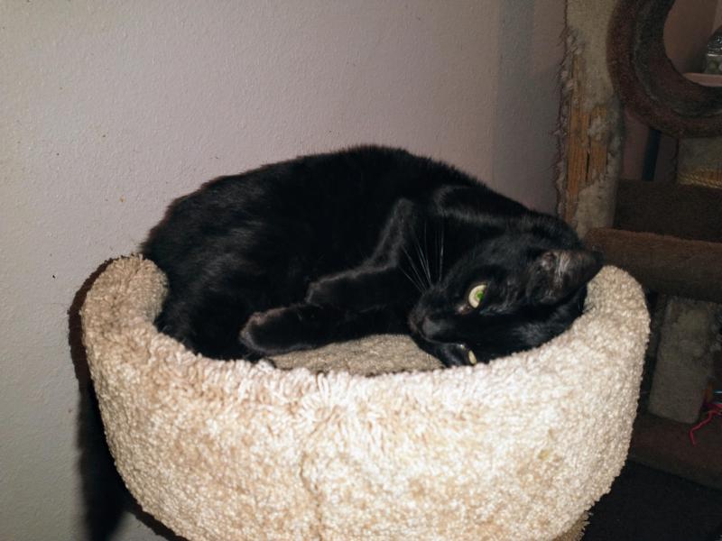 thebugster08 uploaded   1 year/s ago