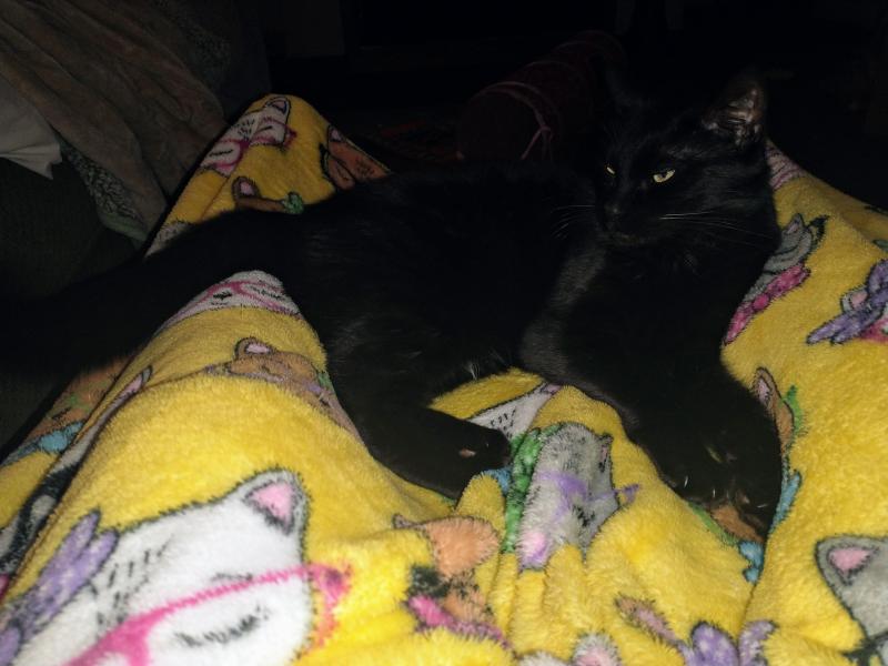 thebugster08 uploaded   351  day/s  ago