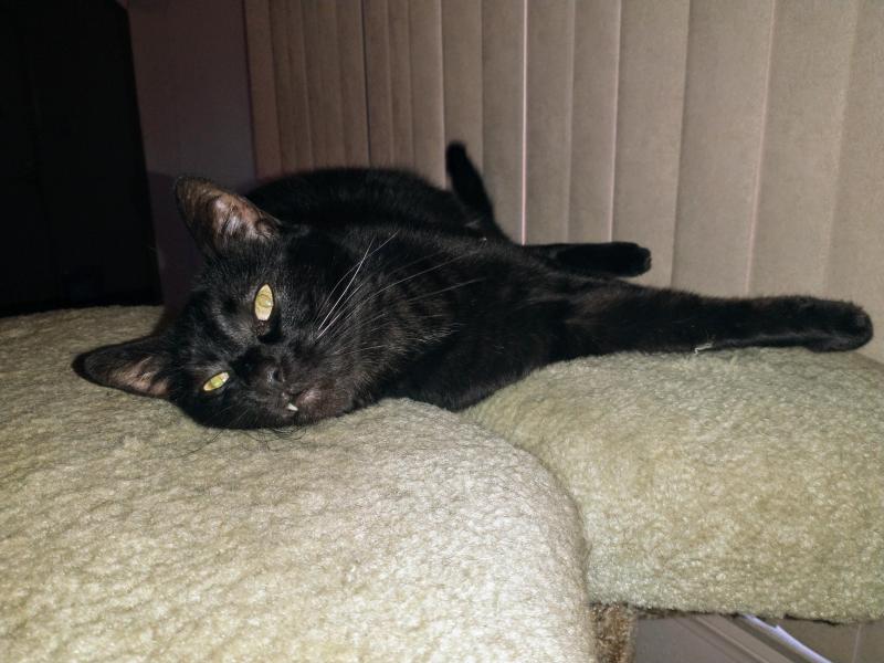 thebugster08 uploaded   337  day/s  ago