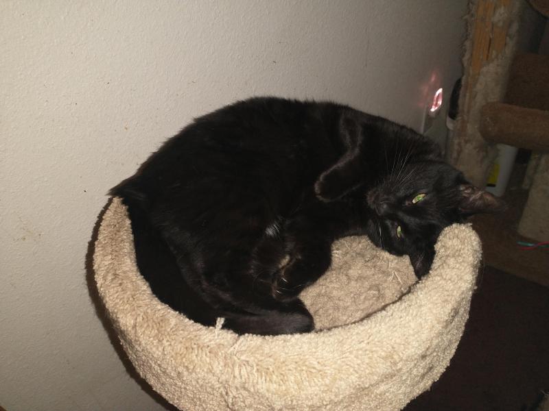 thebugster08 uploaded   358  day/s  ago