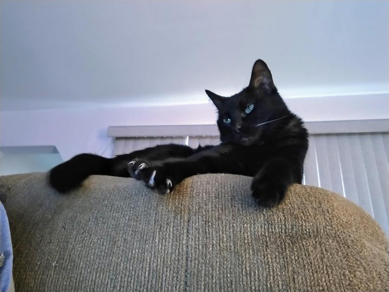 thebugster08 uploaded   330  day/s  ago