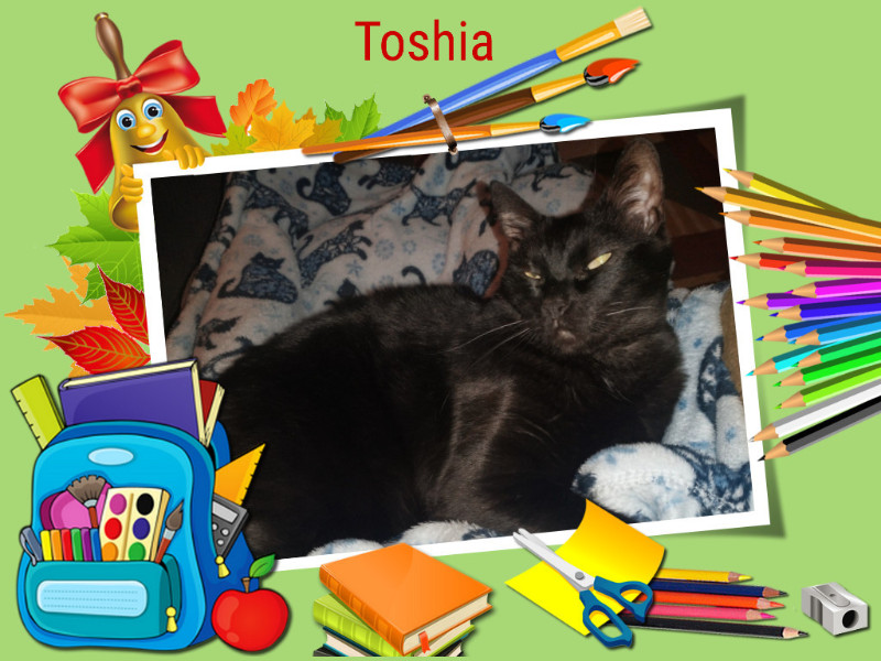 Toshia of the thebugster08 family