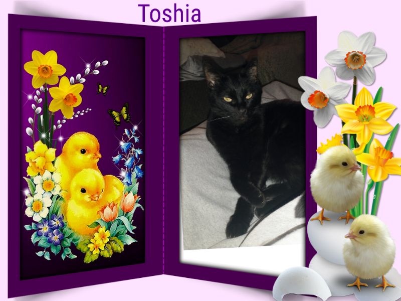 thebugster08 uploaded   12  day/s  ago