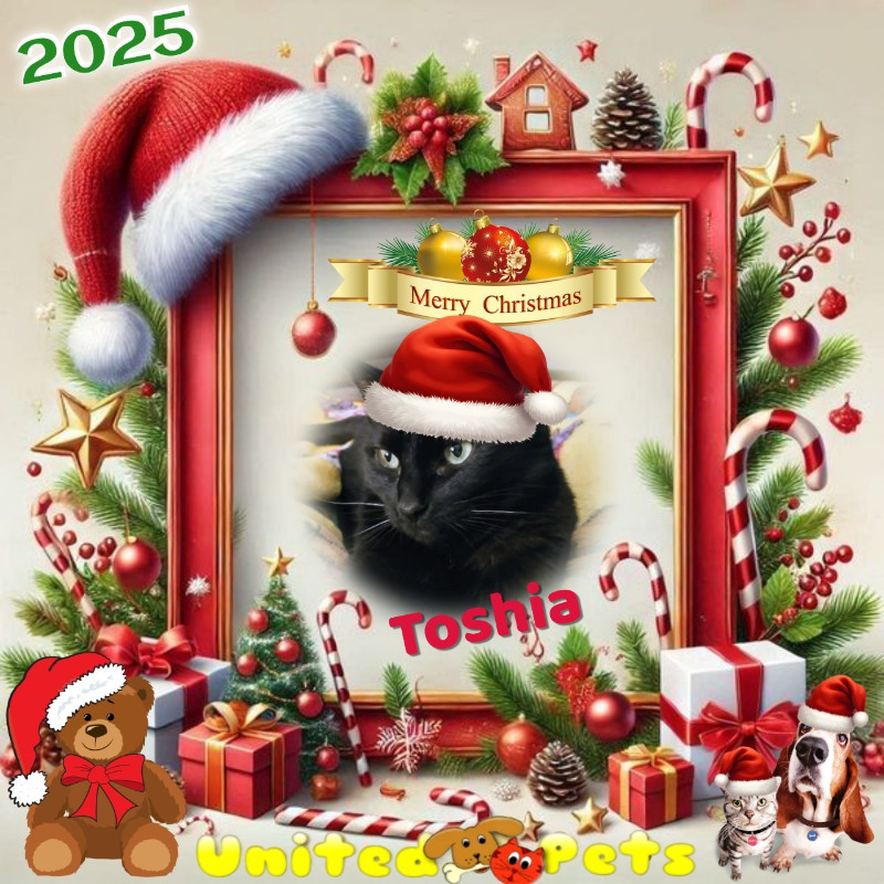 Toshia of the thebugster08 family