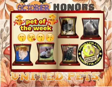 Toshia of the thebugster08 family