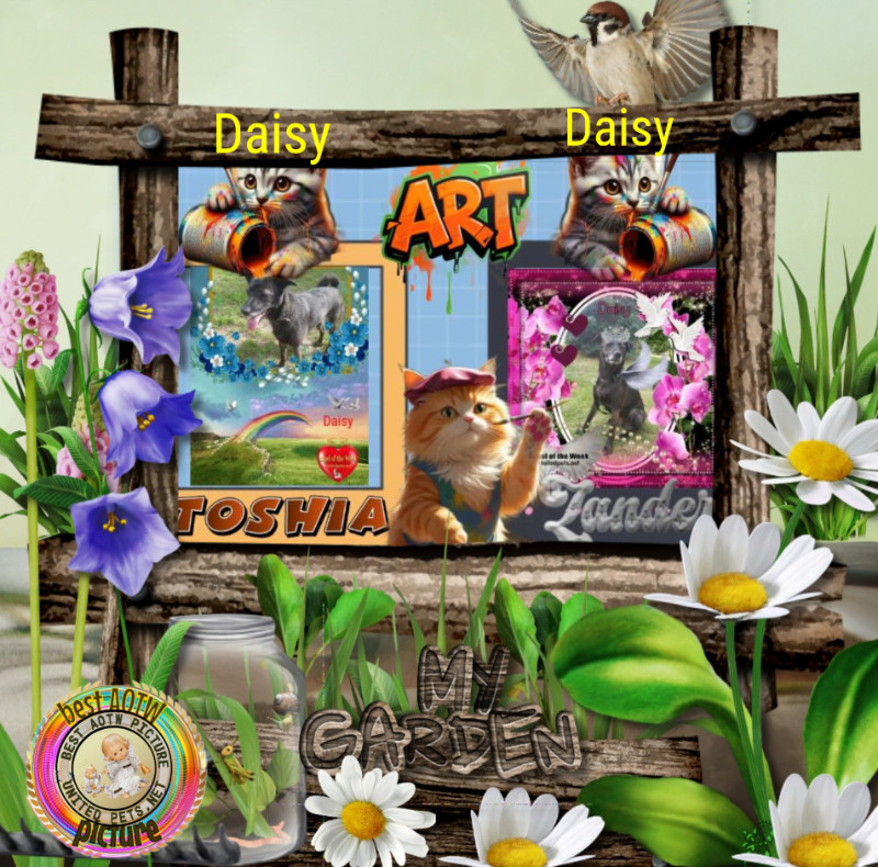 Toshia of the thebugster08 family