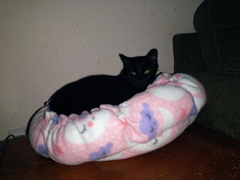 thebugster08 uploaded   157  day/s  ago