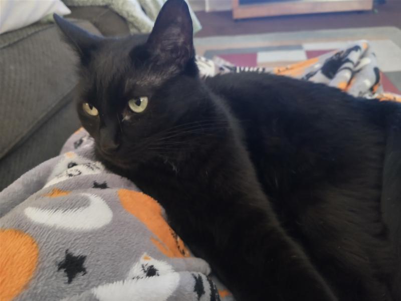 thebugster08 uploaded   172  day/s  ago