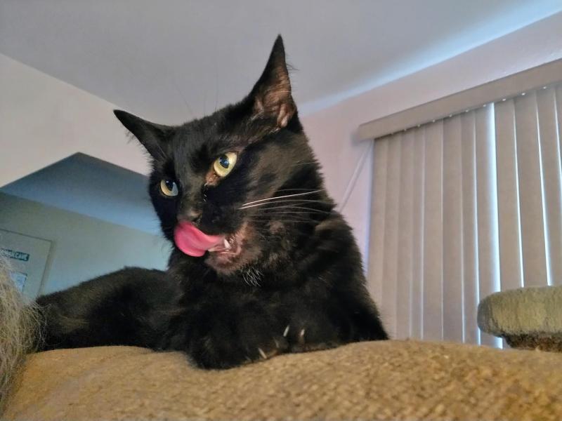 thebugster08 uploaded   316  day/s  ago