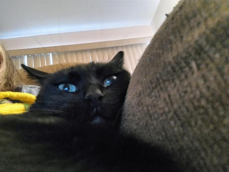 thebugster08 uploaded   309  day/s  ago