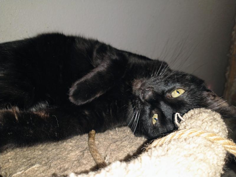 thebugster08 uploaded   302  day/s  ago