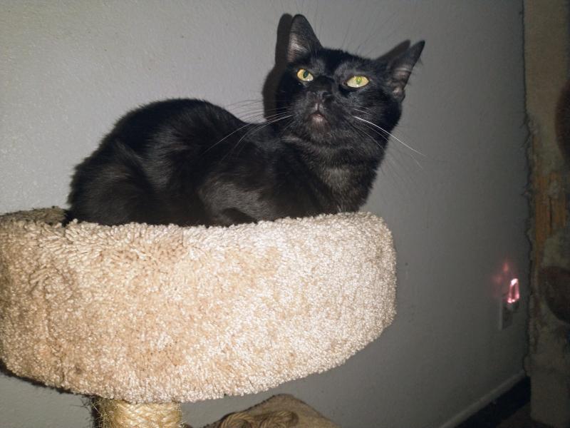 thebugster08 uploaded   287  day/s  ago