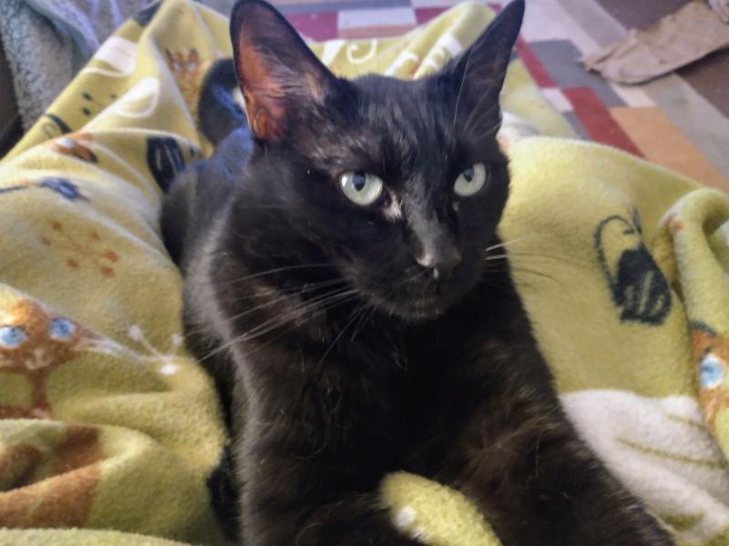 thebugster08 uploaded   280  day/s  ago