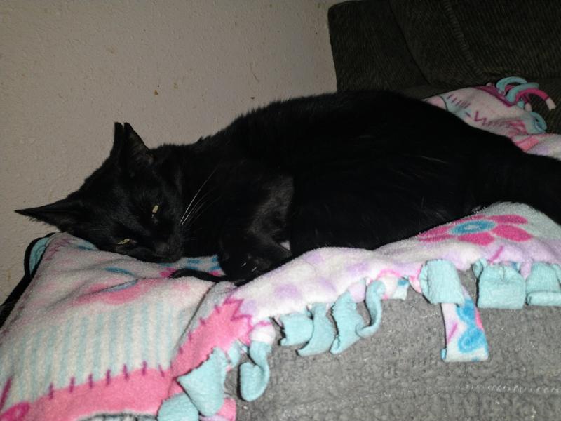 thebugster08 uploaded   273  day/s  ago