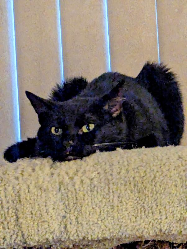 thebugster08 uploaded   294  day/s  ago