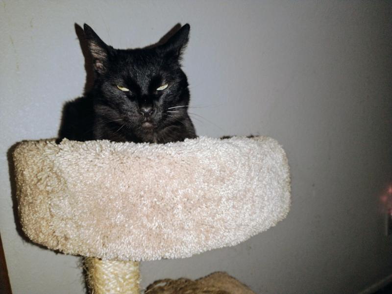 thebugster08 uploaded   266  day/s  ago