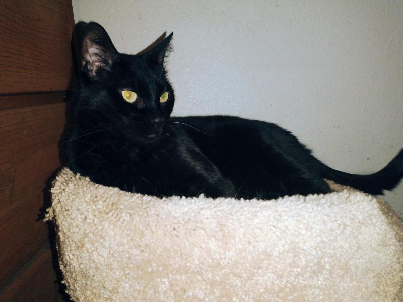 thebugster08 uploaded   221  day/s  ago